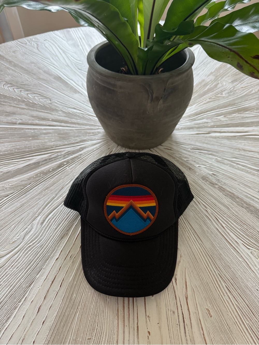 Aviator Nation Trucker Hat with Multicolor Sunset Mountain Patch